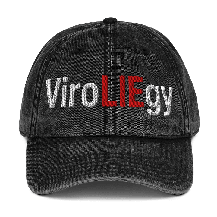 ViroLIEgy Hat Embroidered product image (1)