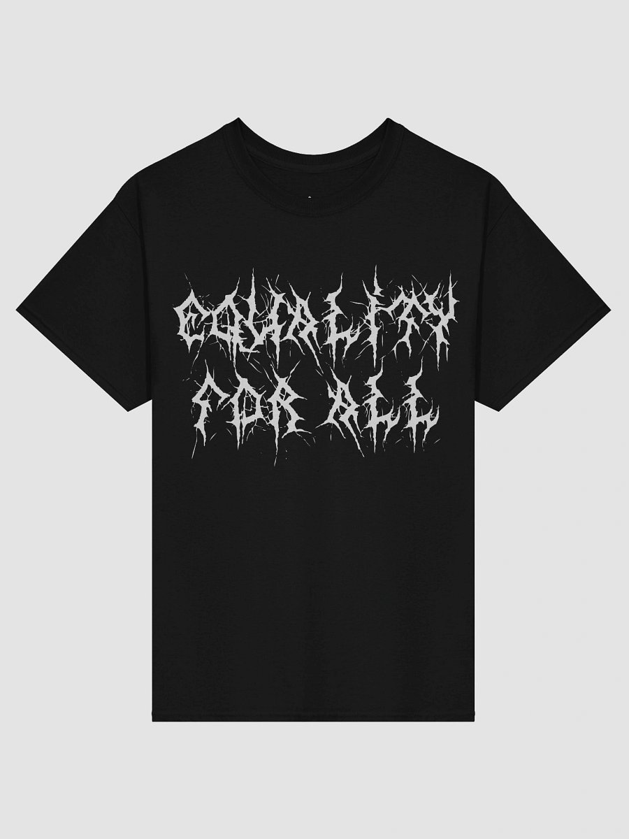 Equality For All /No One is Free Until We are All Free Heavy Tee product image (1)