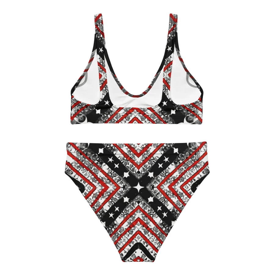 Black/Silver and Stripes Bikini product image (5)