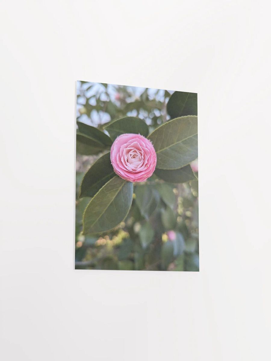 Blooming Beauty Matte Poster product image (18)