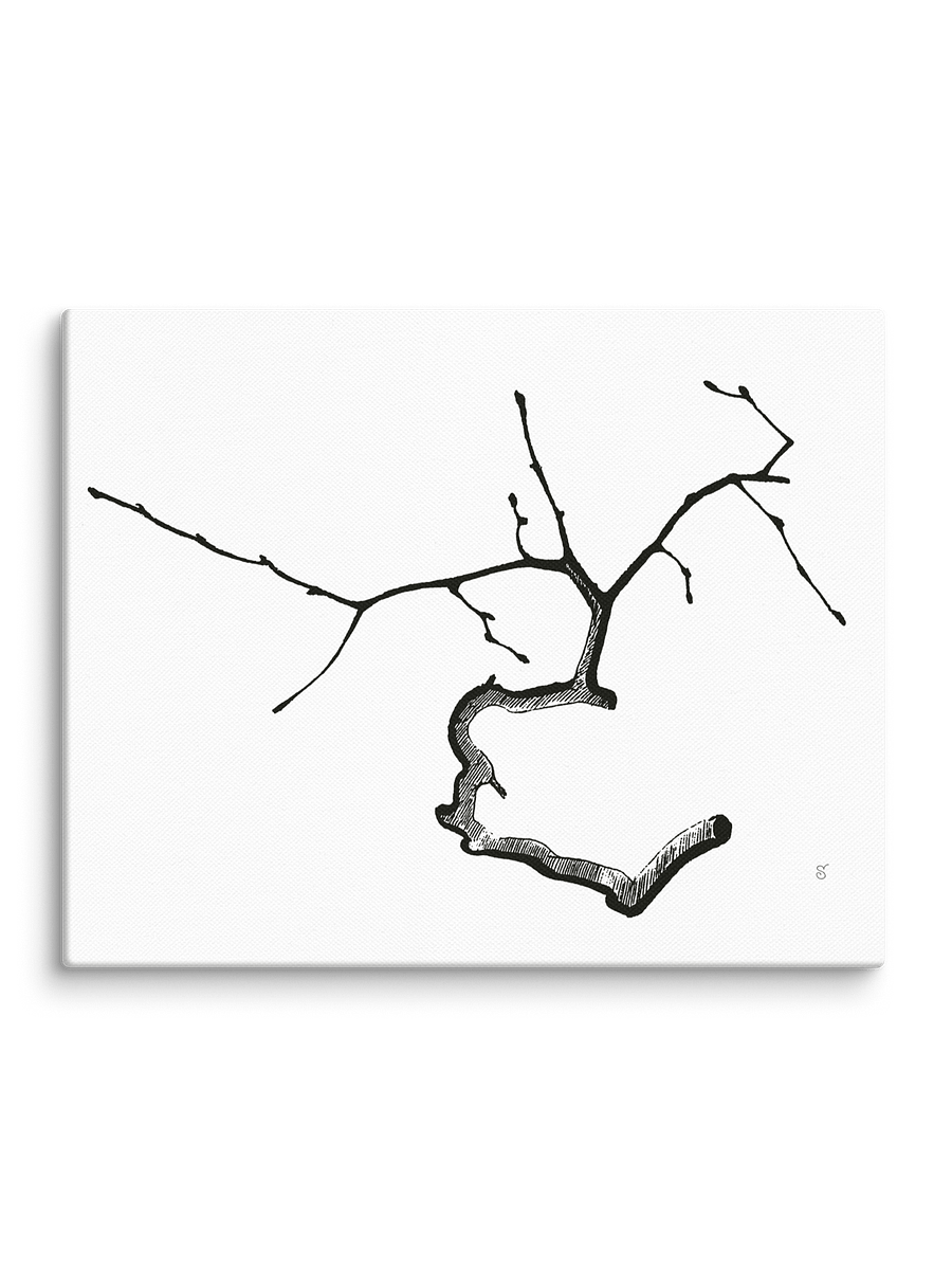 Branching Out Canvas Collection - Elegant Twig product image (2)