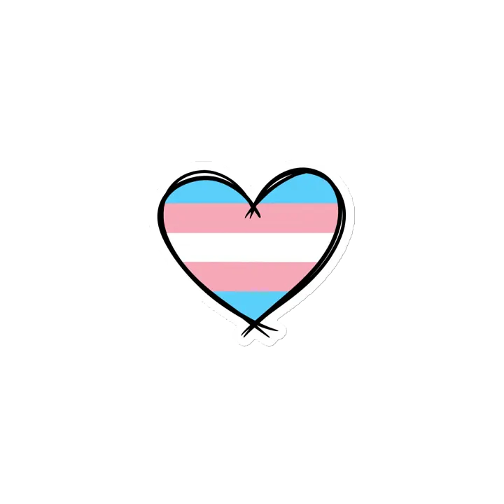 Transsexual Pride Magnet product image (1)