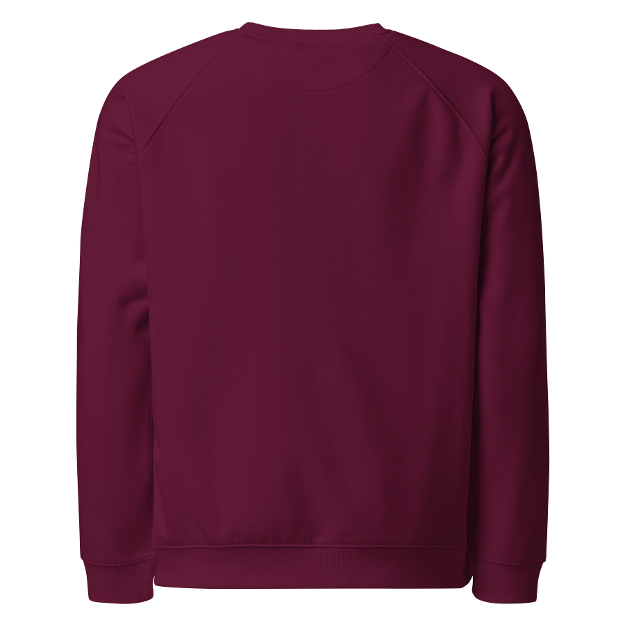 Retro Sunset Organic Raglan Sweatshirt product image (2)