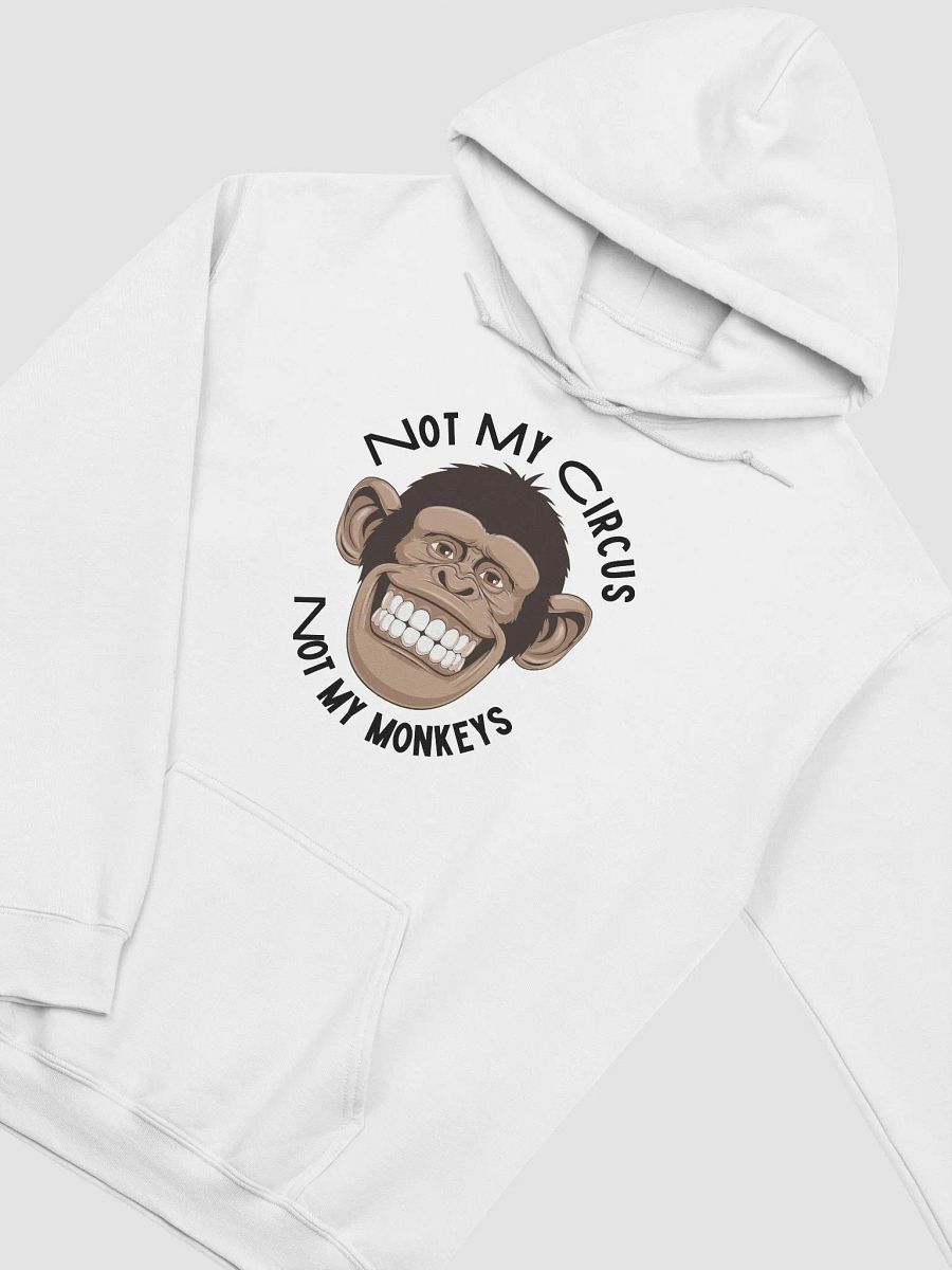 Not My Circus Classic Hoodie product image (101)