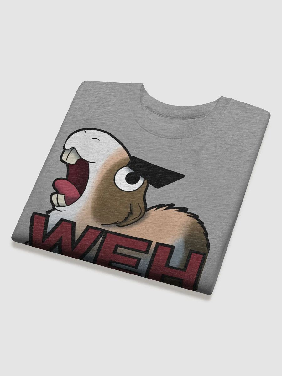 WEH Longsleeve product image (28)