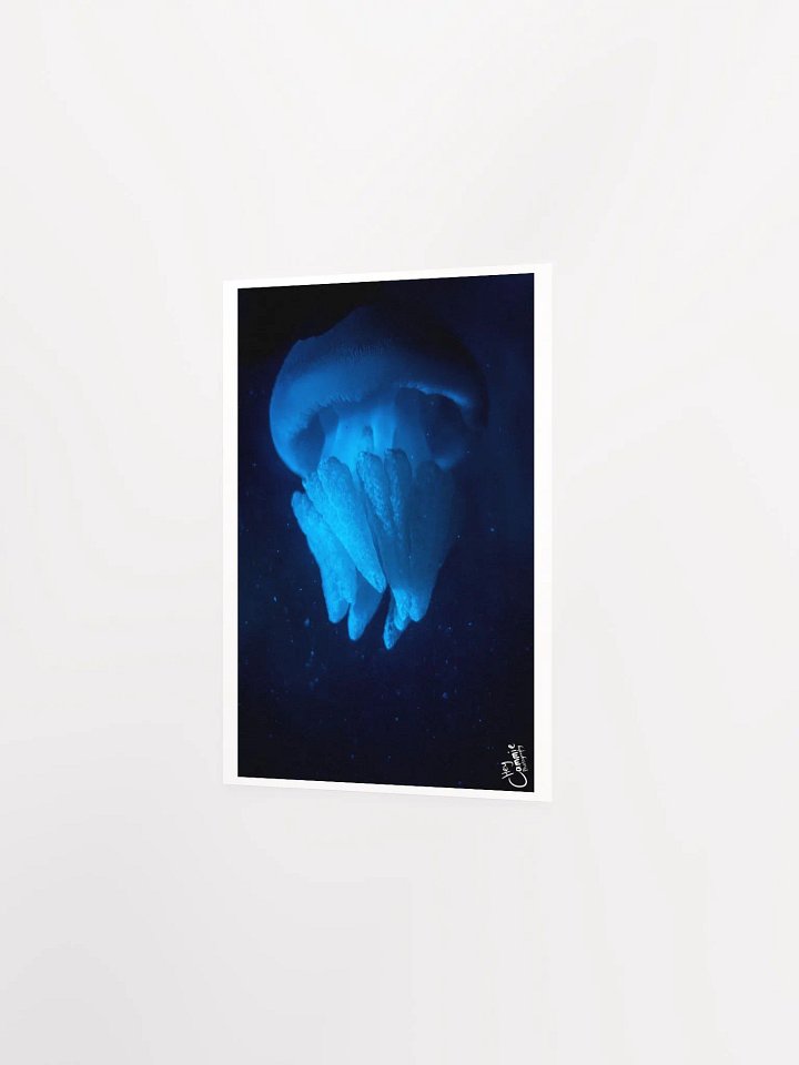 Shipwreak - Print product image (2)