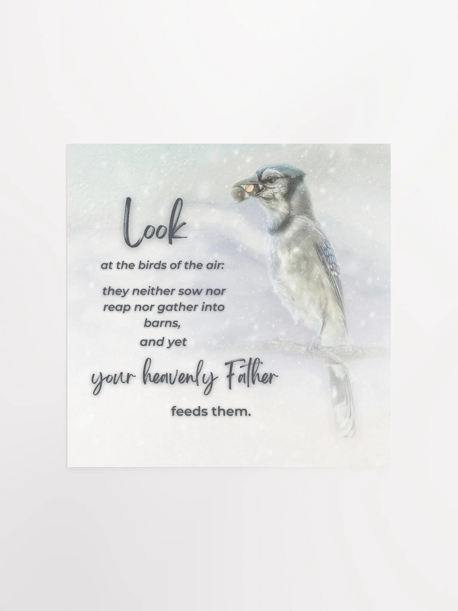 Birds Of The Air product image (2)