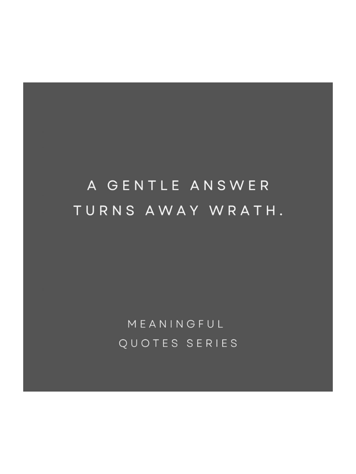 Gentle Answer. product image (1)