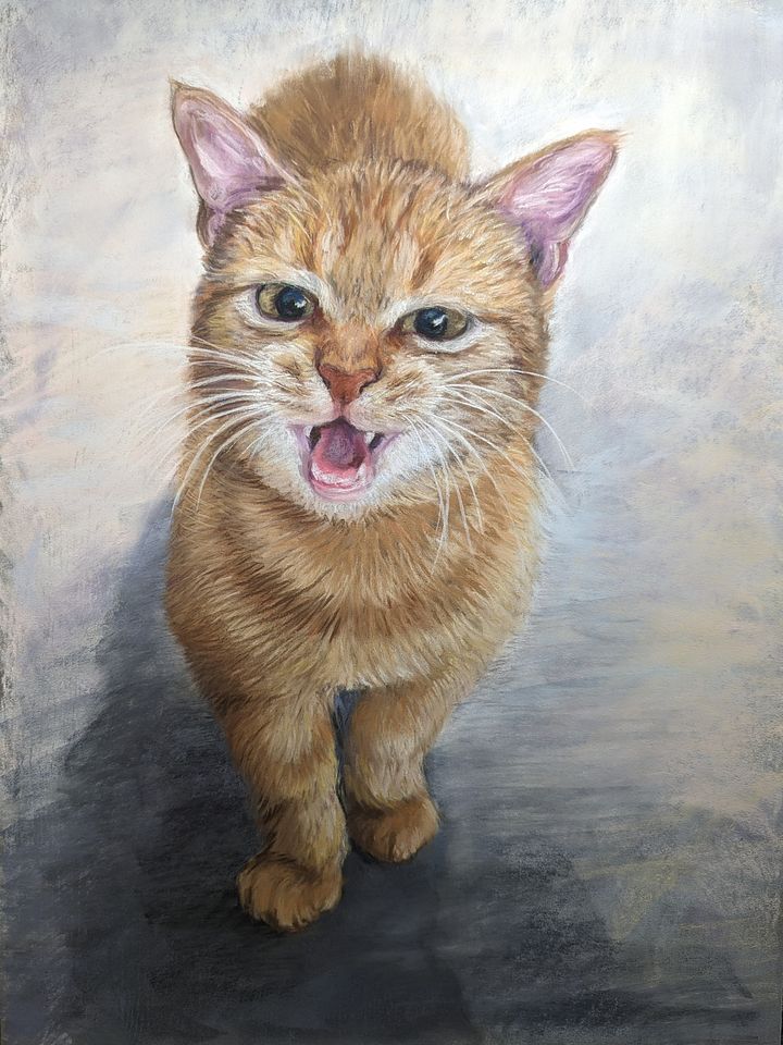 Meow product image (1)