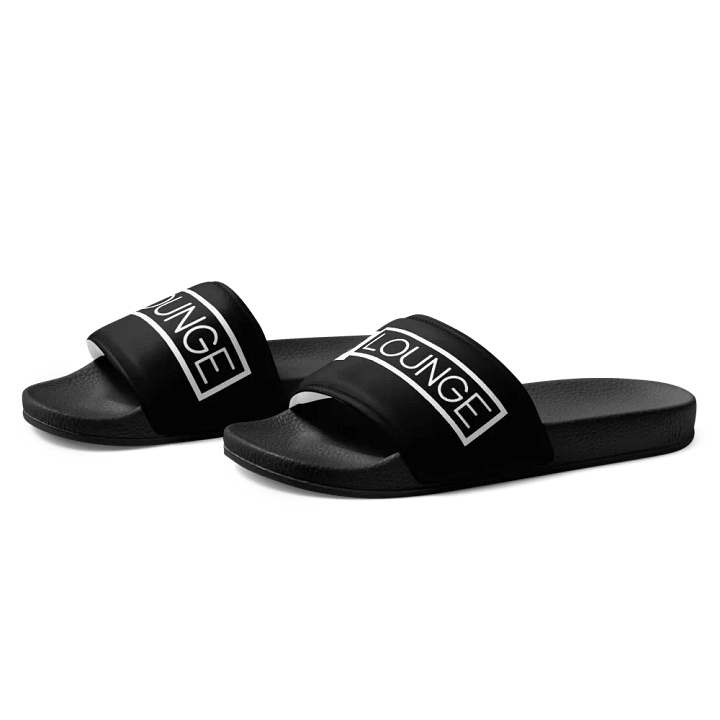 ggslides product image (1)