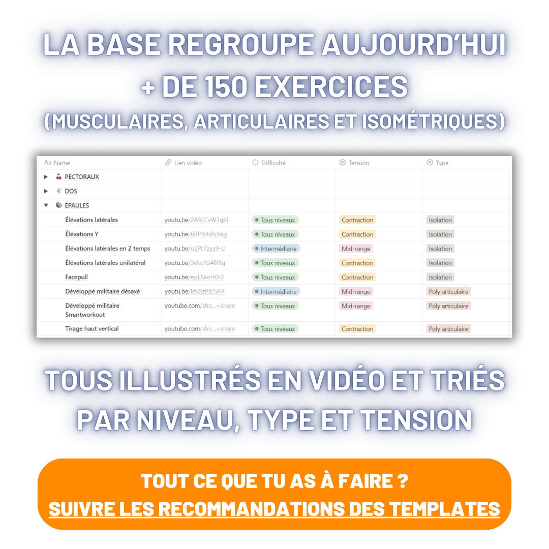 [Formation] Balèze aux élastiques NIVEAU 1 product image (3)