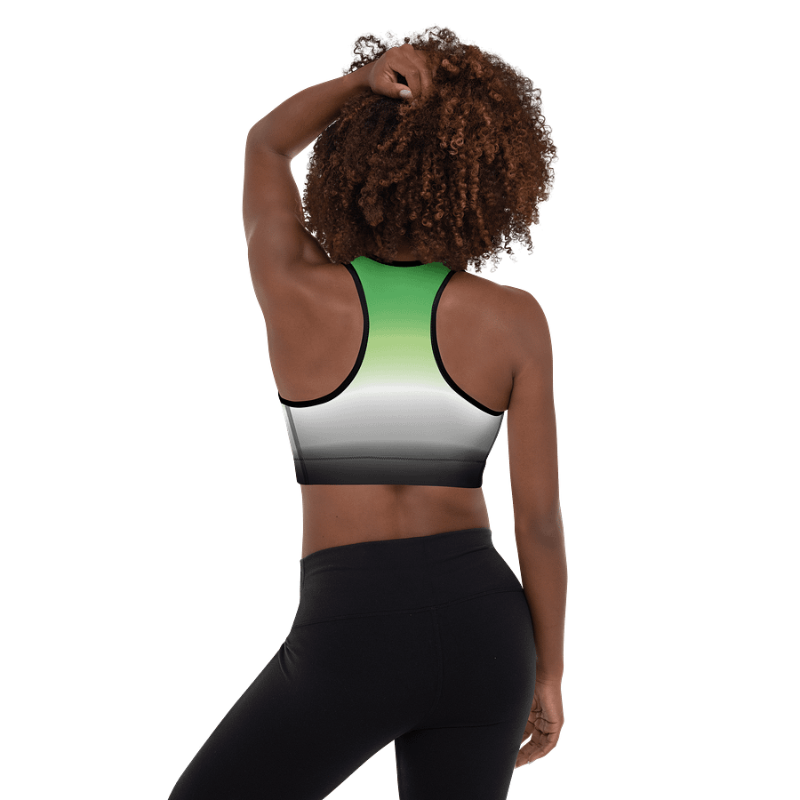 Aromantic Pride Gradient Padded Sports Bra product image (2)