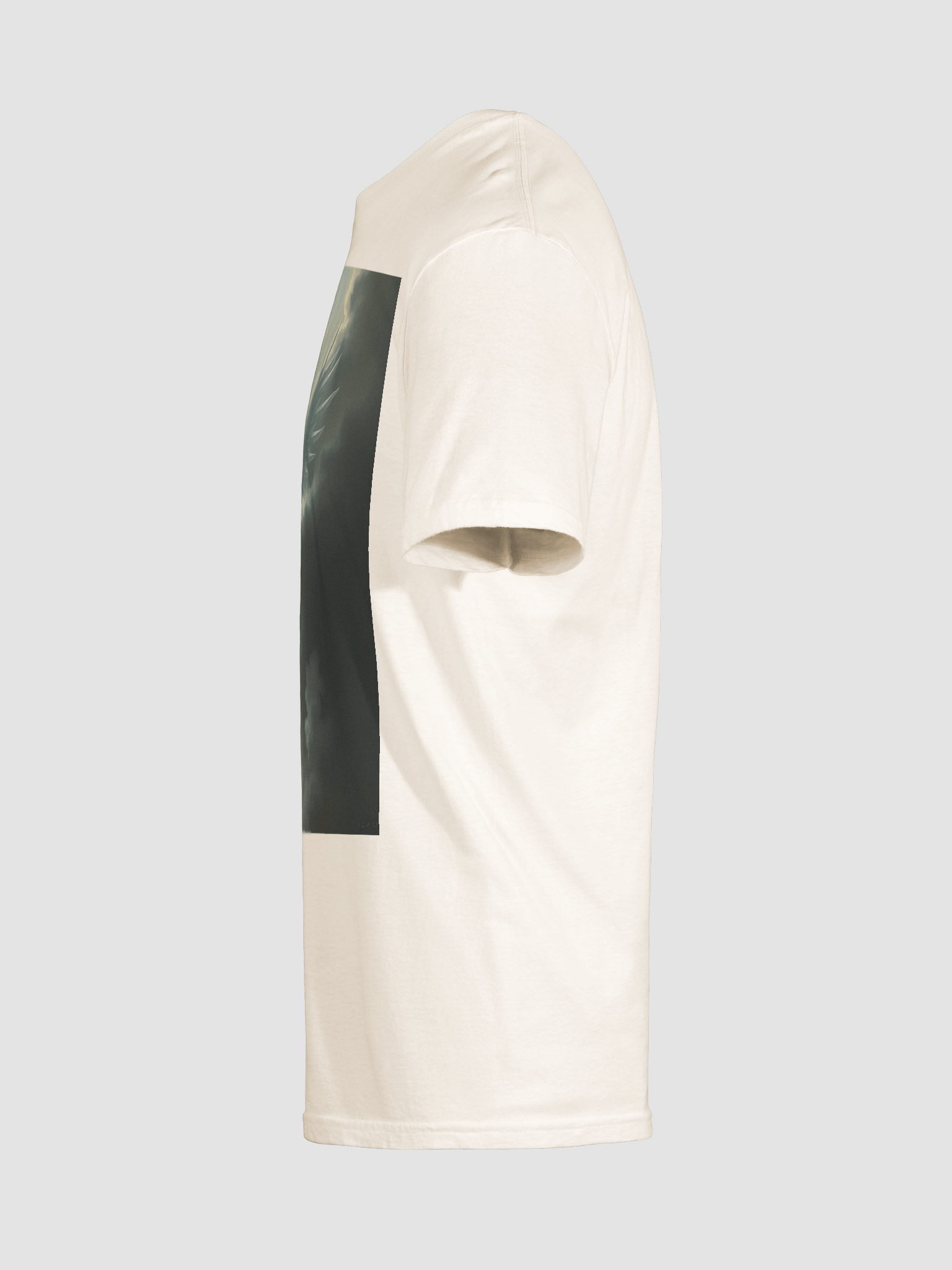 Celest product image (26)
