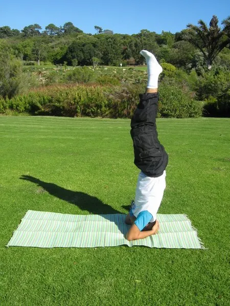 3º Módulo - Aprenda Yoga de Uma Vez Por Todas - Curso Online Teórico e Prático product image (2)