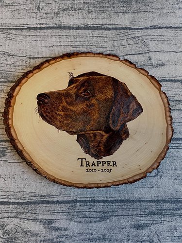 I know I haven’t posted or even made near the volume of woodburnings I have in the past few years, but…the ones I have done t...