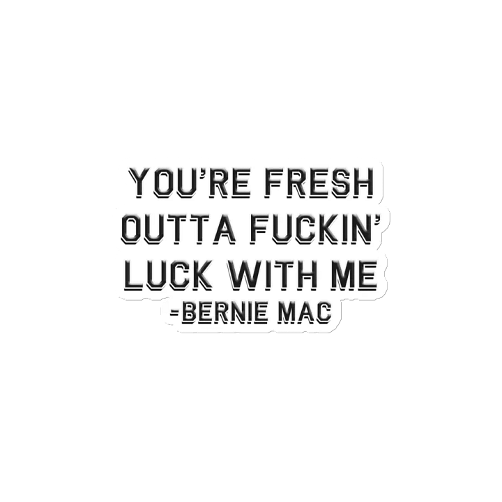 Bernie Magnet product image (2)