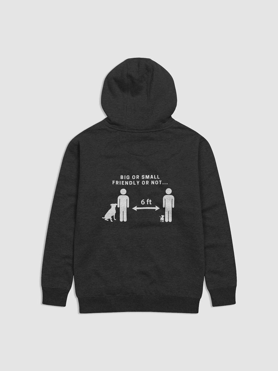 Adventure Together 6ft Back Hoodie product image (14)