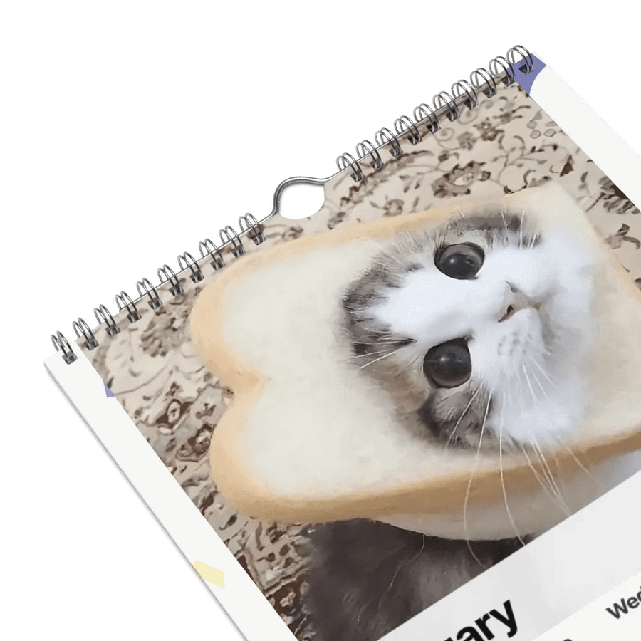 Wall Calendar (2024): Meme Cats product image (9)