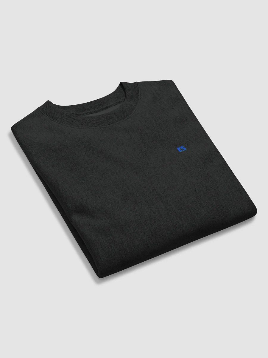 CS Champion SweatShirt product image (5)