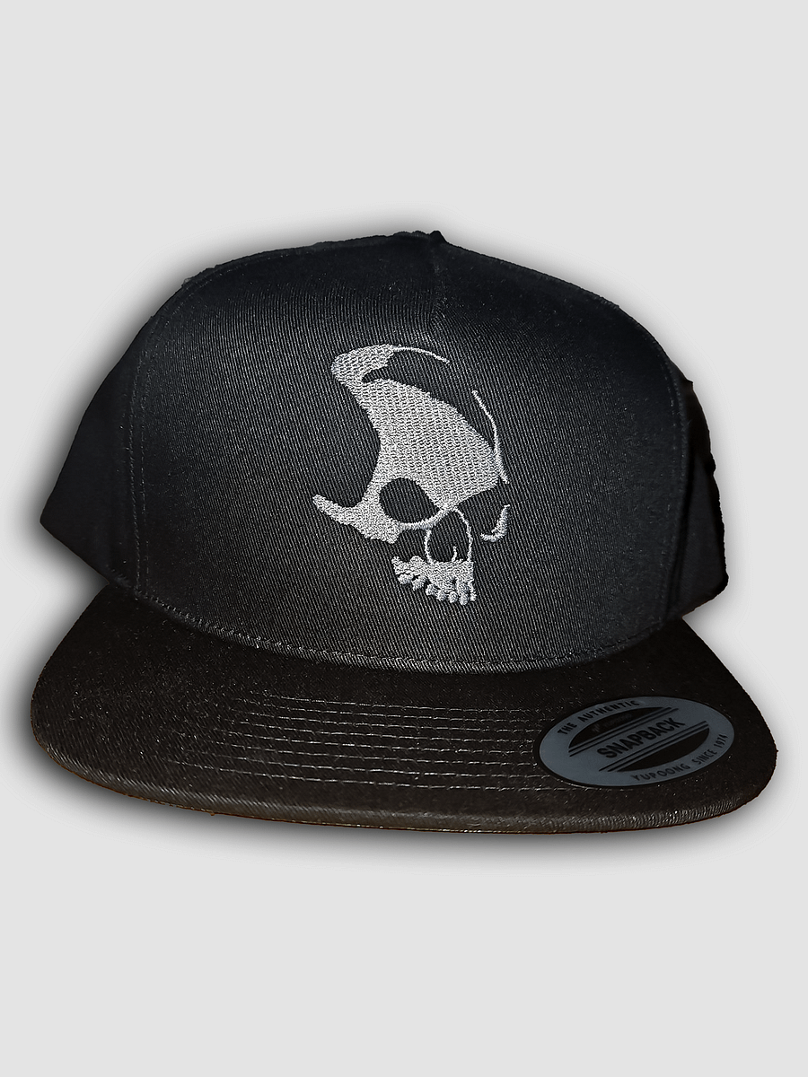 Armada Skull Yupoong Flat Snapback product image (7)