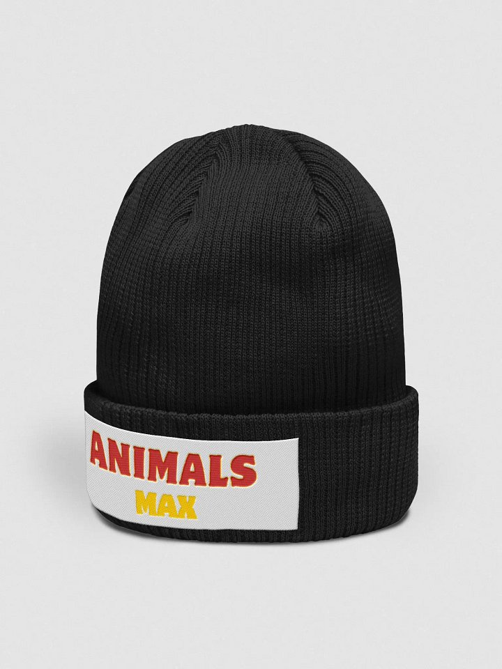Atlantis Organic Ribbed Knit Hat product image (12)