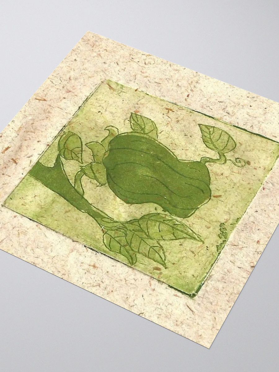 Green Paprika, Botanical Sticker product image (8)