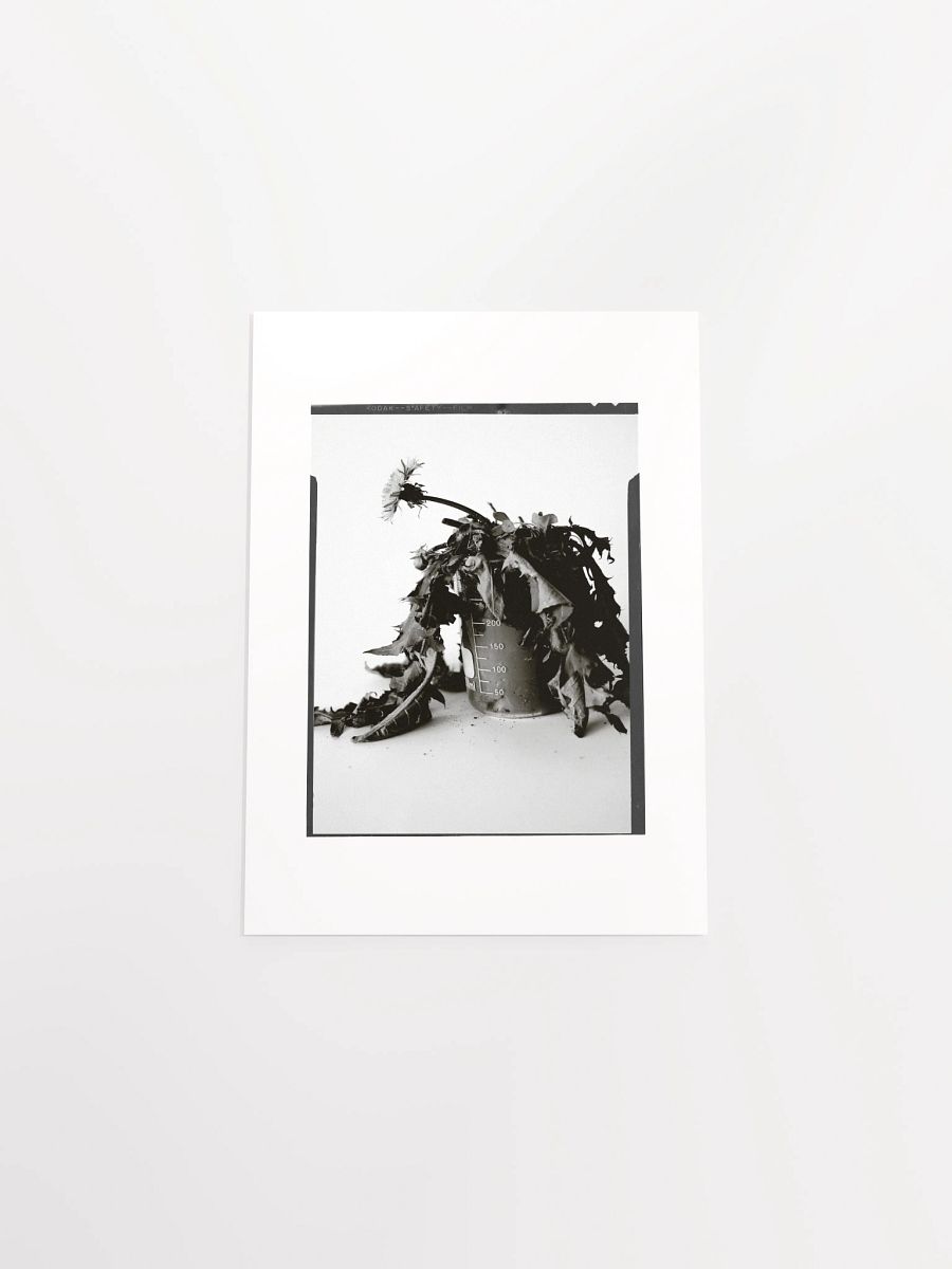 James C'Avedon Print • "Mud Portrait #1" product image (4)