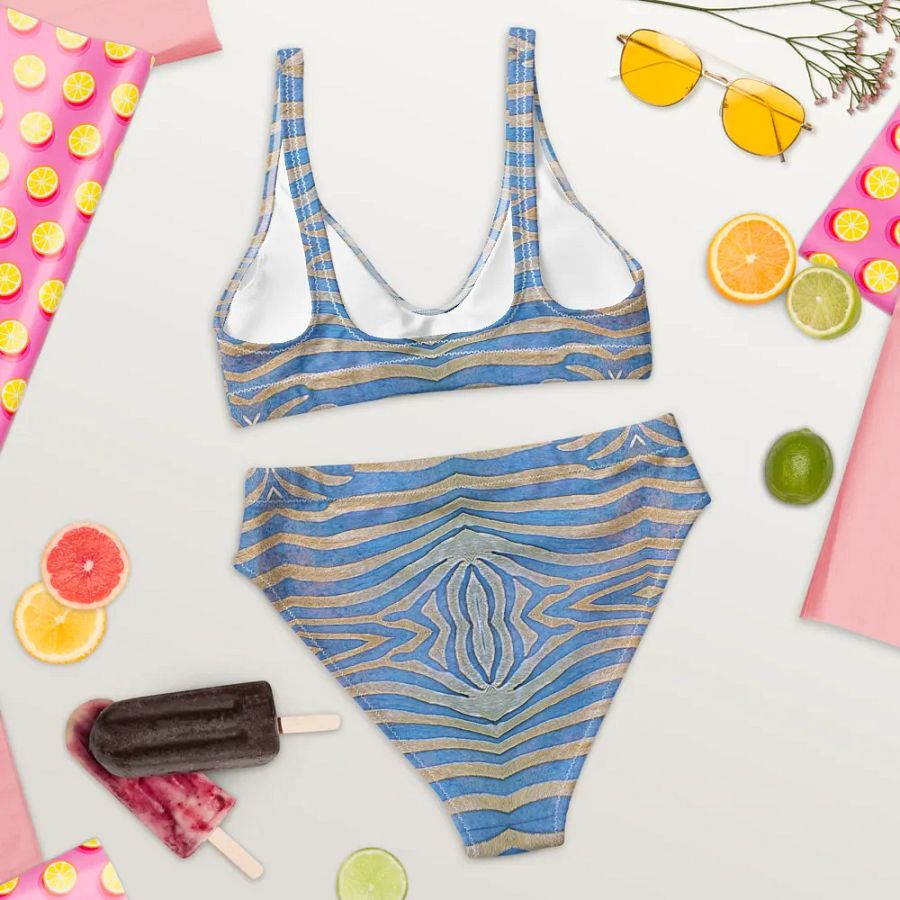 Zebra stripes in dove blue Bikini product image (8)