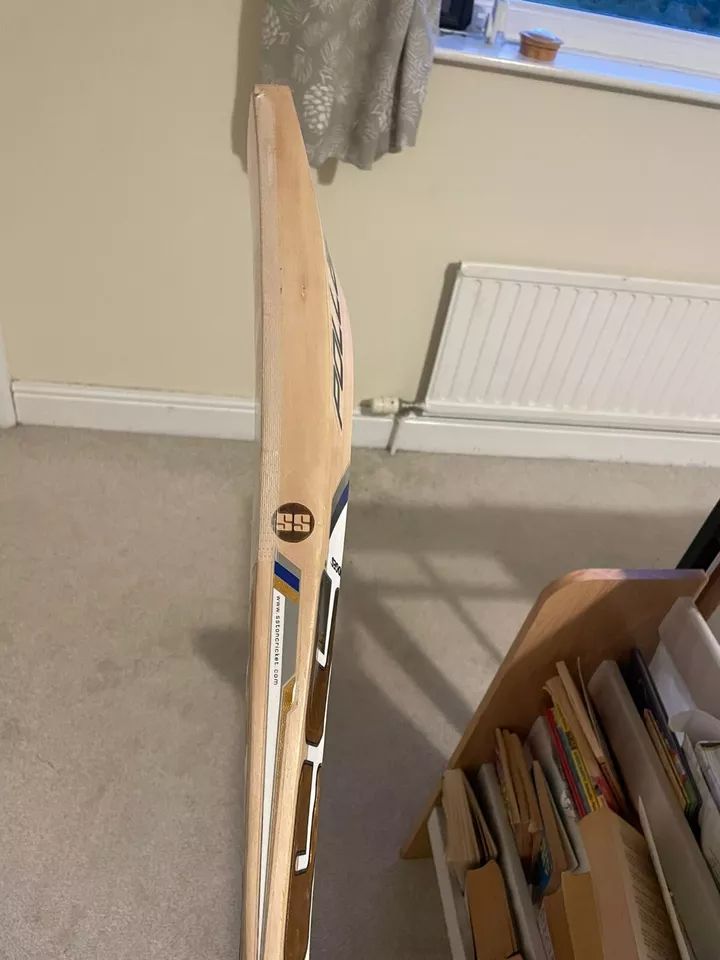 SS Kieron Pollard PLAYERS Cricket Bat Absolutely Unbelievable Grains & Profile product image (3)