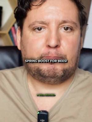 Spring Bee Boost- Syrup & Protein Secrets! 🐝 #shorts #beekeeping #springbees #beekeepingtips #proteinstimulation #syrupfeeding #springbuild #colonyhealth #broadrearing #nectarflow #pollenseason #beekeepingstrategy #modernbeekeepingjourney #precisionbeekeeping #beekeeperslife #smartbeekeeping #inteligentbeekeeping #beefeedingsystem #theultimatefeedingsystem #feedingbee #beekeeperlife #hivehealth #modernbeekeeping