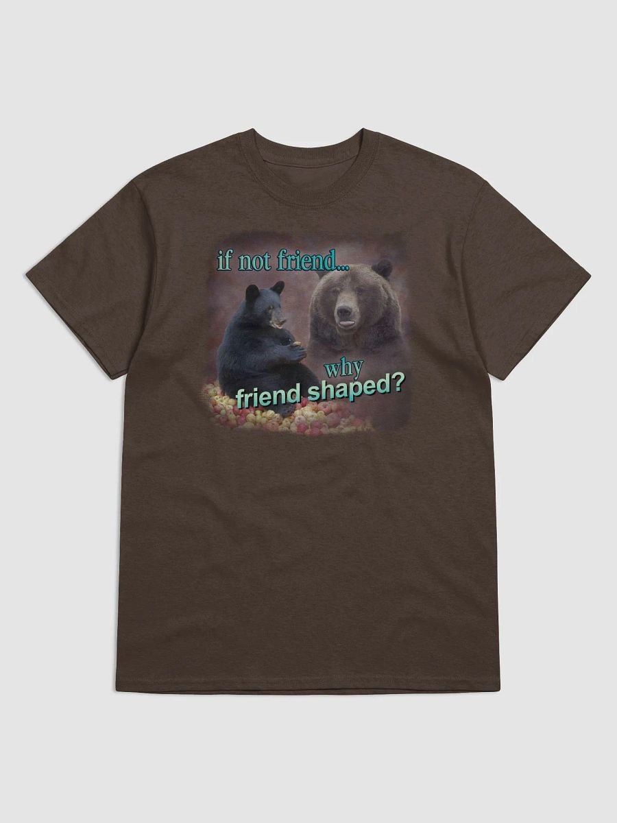 If Not Friend, Why Friend Shaped Bear T-shirt product image (1)