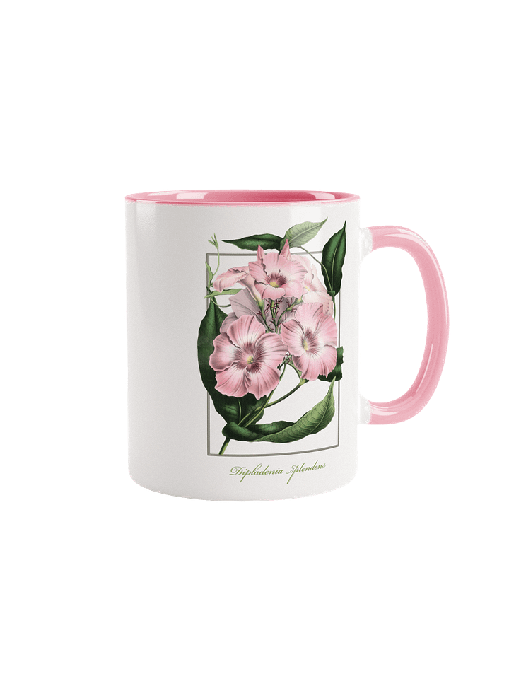 Dipladenia splendens Flower - ceramic mug product image (1)