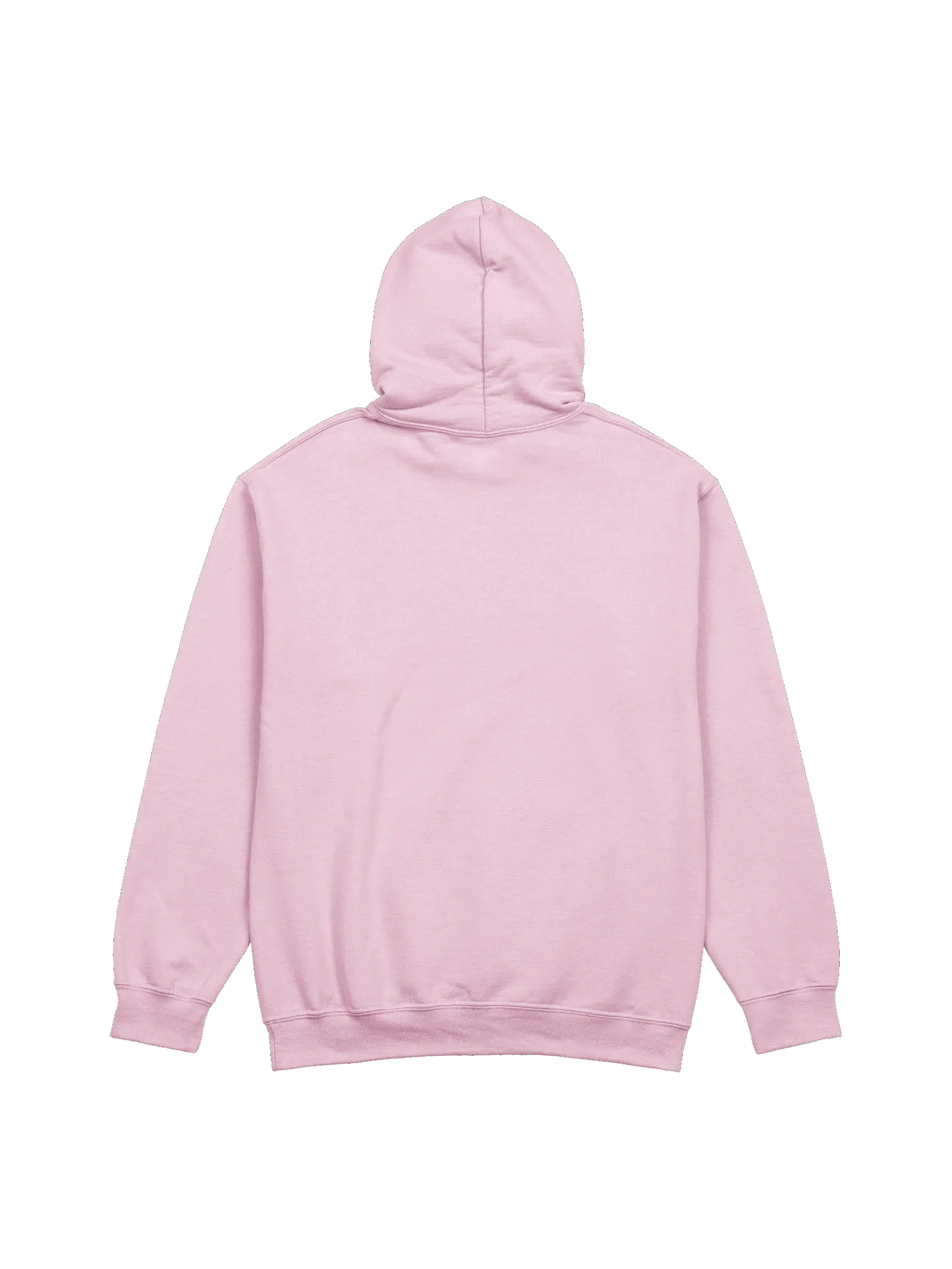 WINGS LOGO HOODIE product image (3)