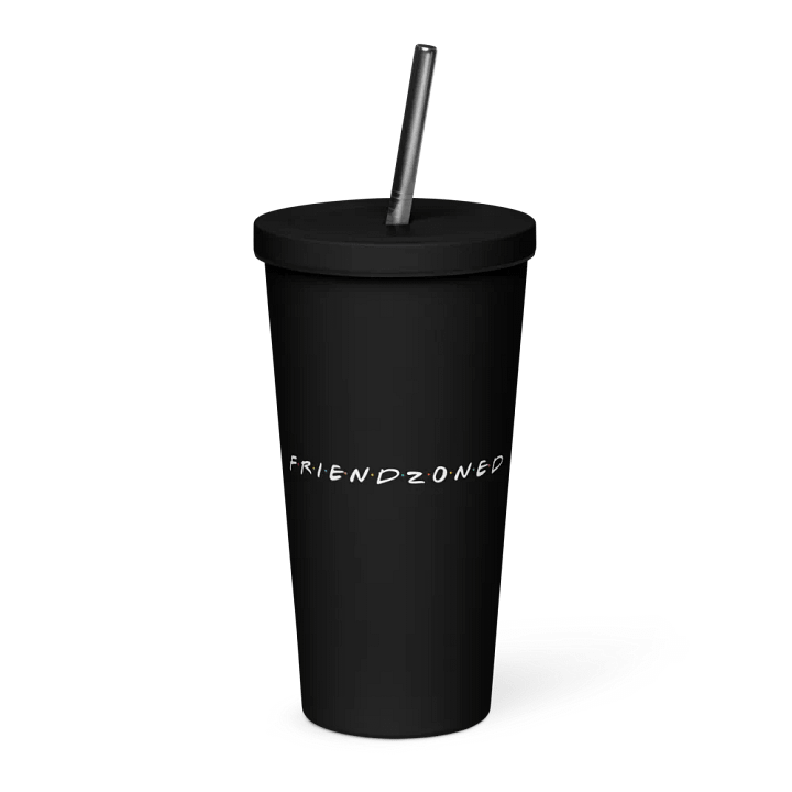 FRIENDZONED INSULATED TUMBLER WITH STRAW product image (1)