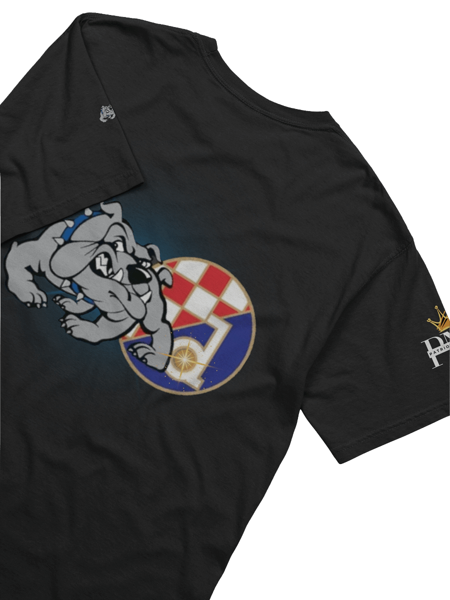 Bad blue Boys PNB Crown Comfort Tee product image (11)