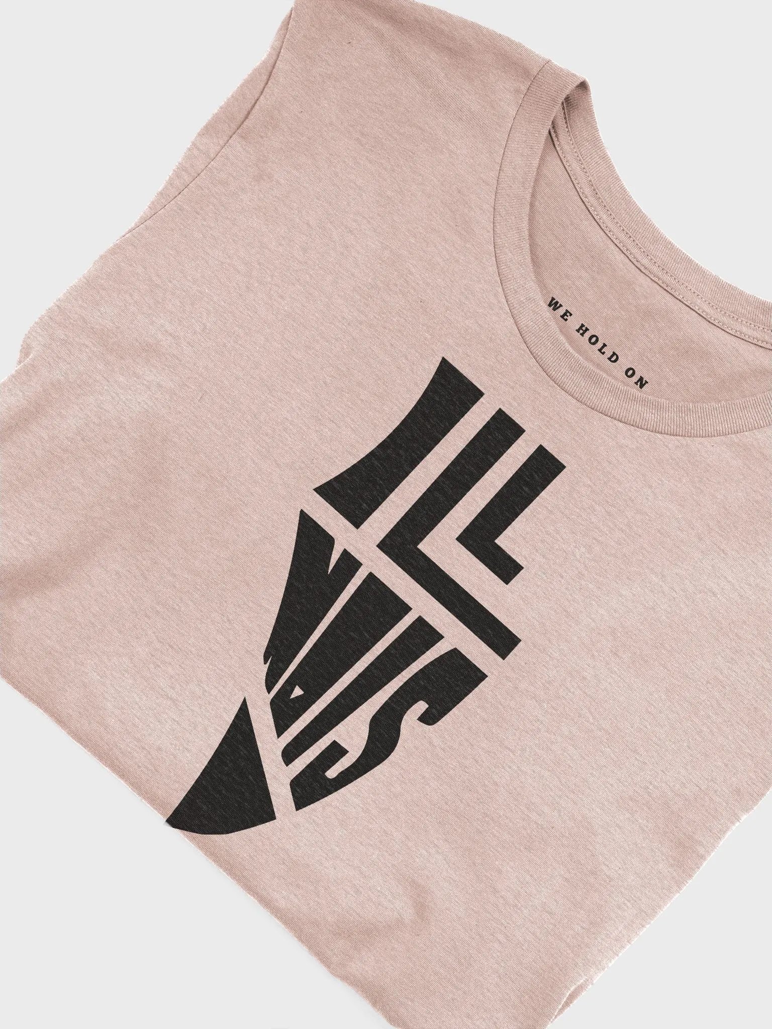ILLINOIS Tee product image (30)