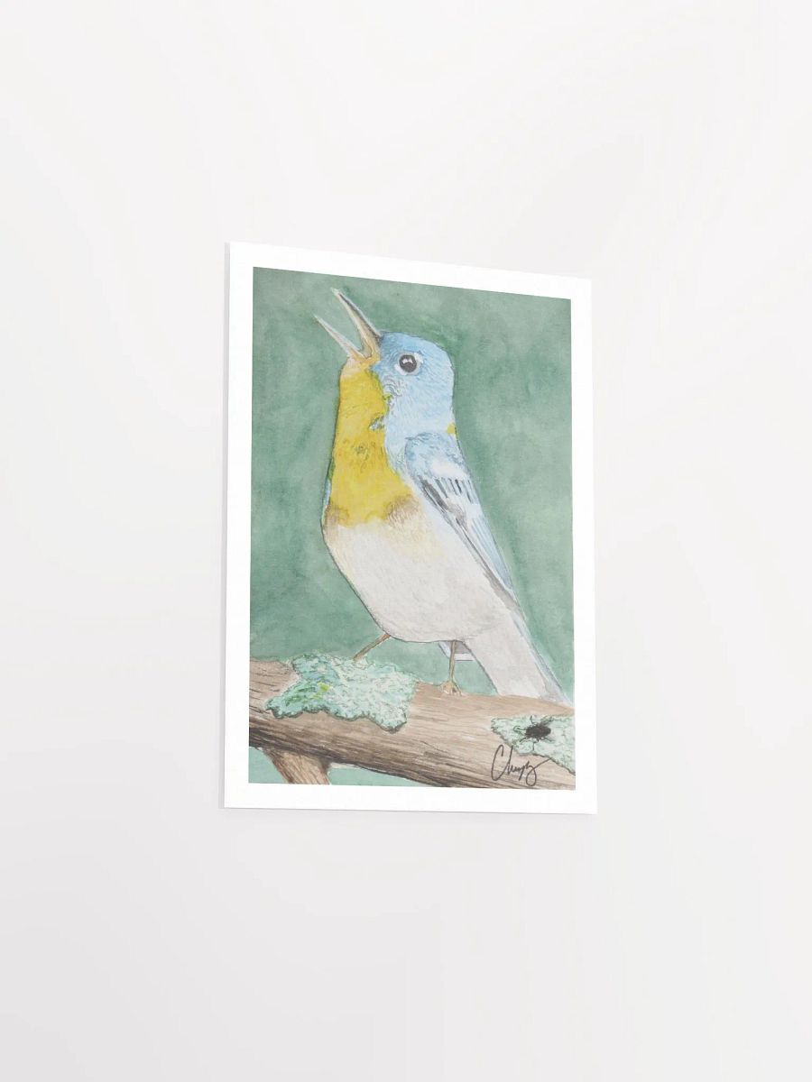 Northern Parula Warbler Print product image (3)