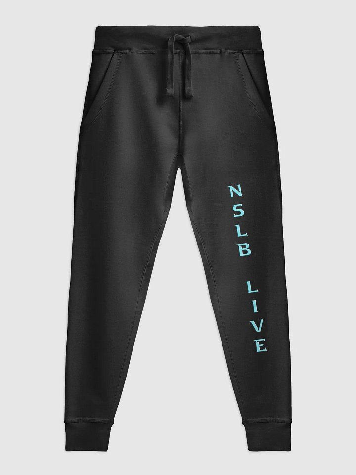 Revive Your Wardrobe with some NSLB Lane Seven Fleece Joggers product image (5)