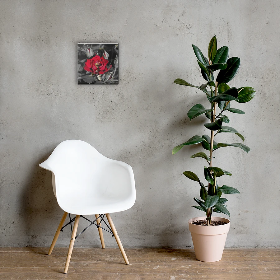 Rose on Canvas product image (5)