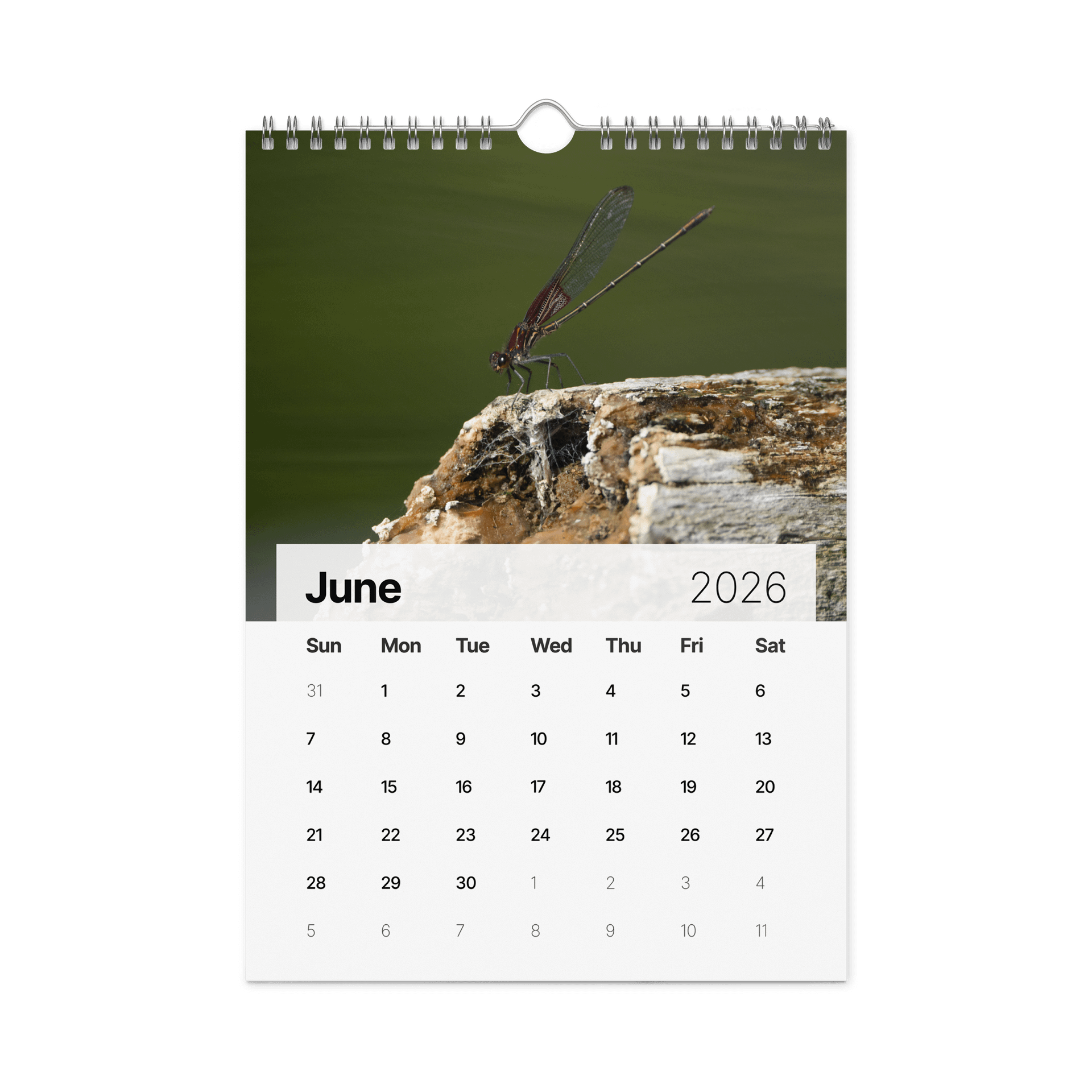 2026 Nature Photography Calendar product image (7)
