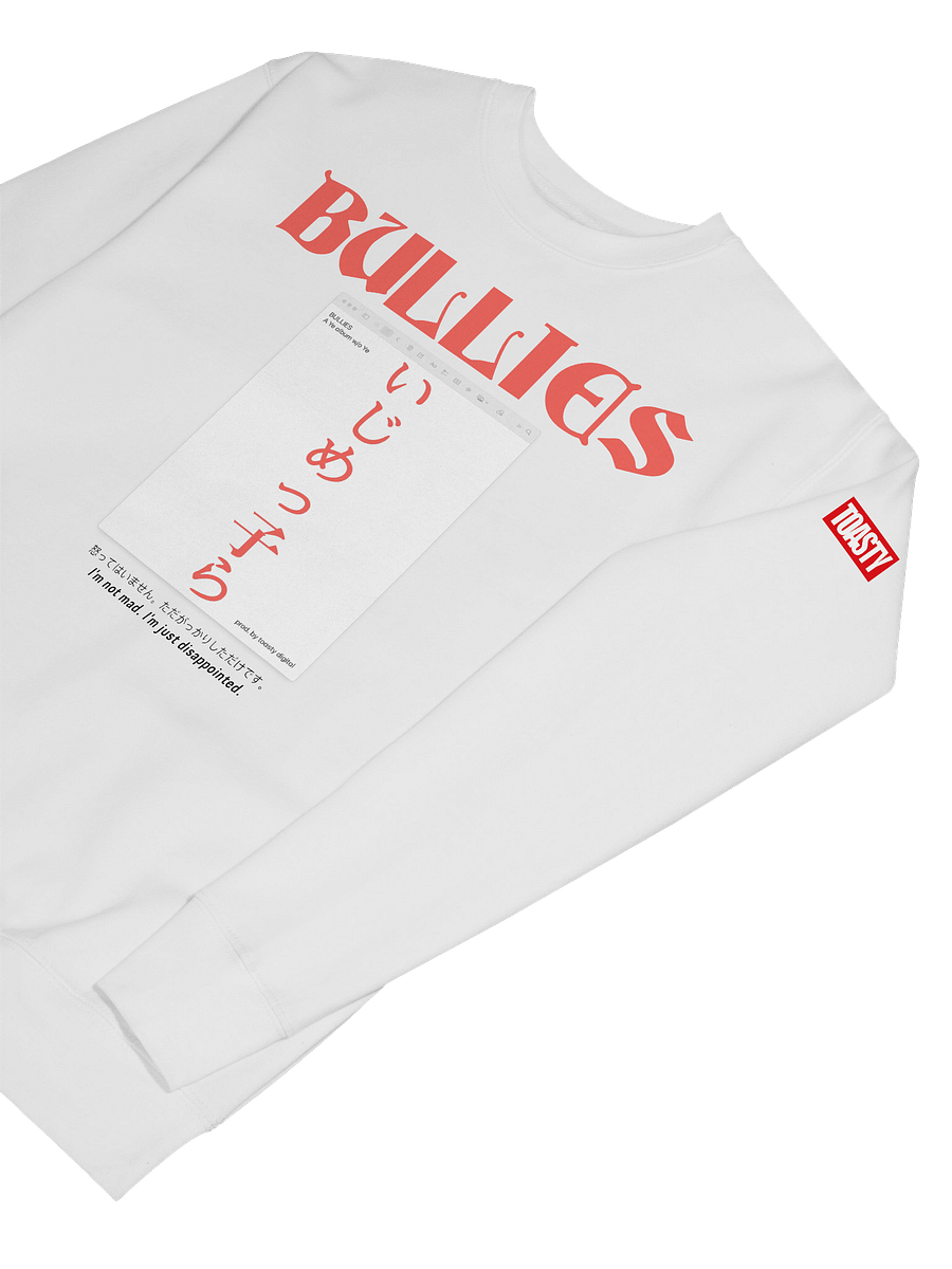 BULLIES WHITE CREWNECK product image (7)