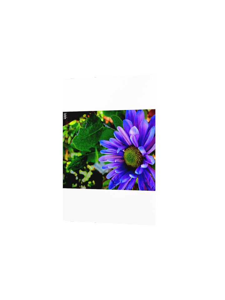 Bright Purple Flower product image (12)