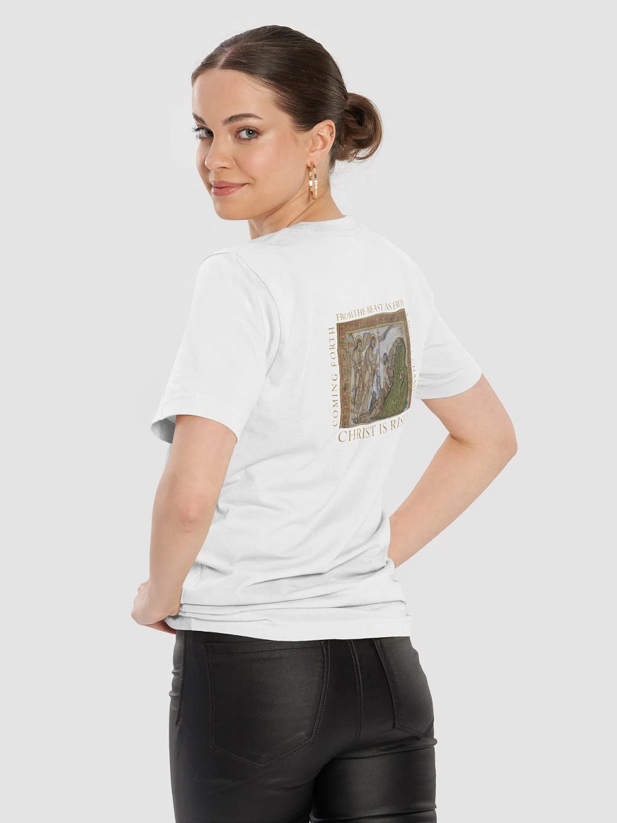 Bridal Chamber T-Shirt product image (10)