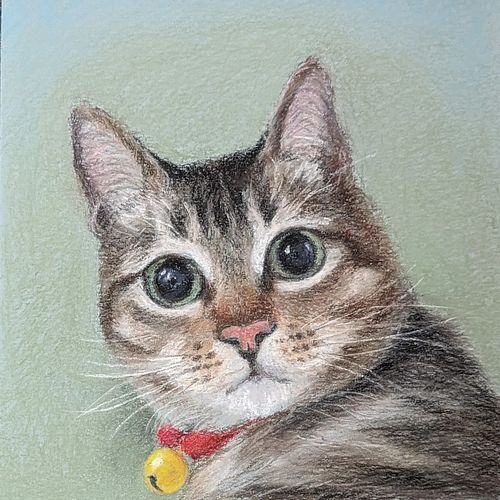 I have done many paintings of cats since last year.. I am going to post some of them.#catlover
#pastels #pastelpainting #arts...