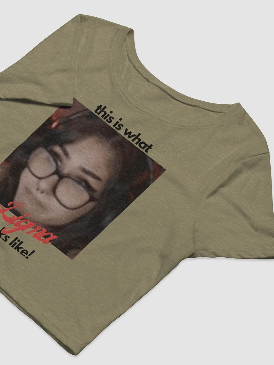 Snowmonk Ligma Cropped Tee product image (6)