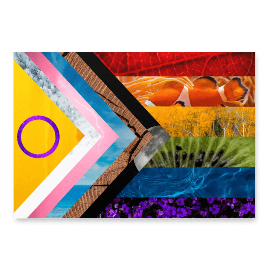 Pride Wrapping Paper! product image (3)