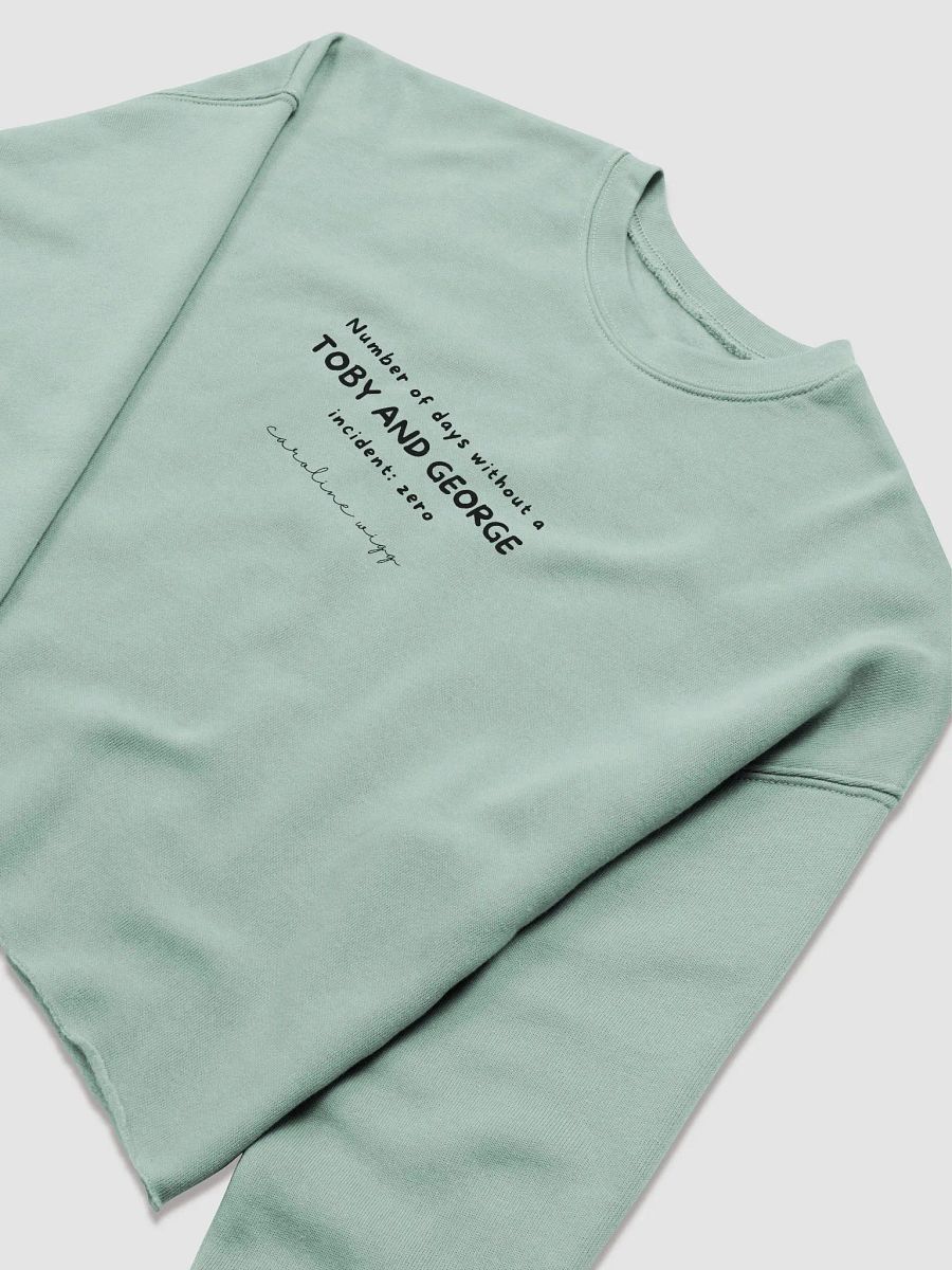 Toby and George Incident Crop Sweatshirt - Light Colours product image (5)