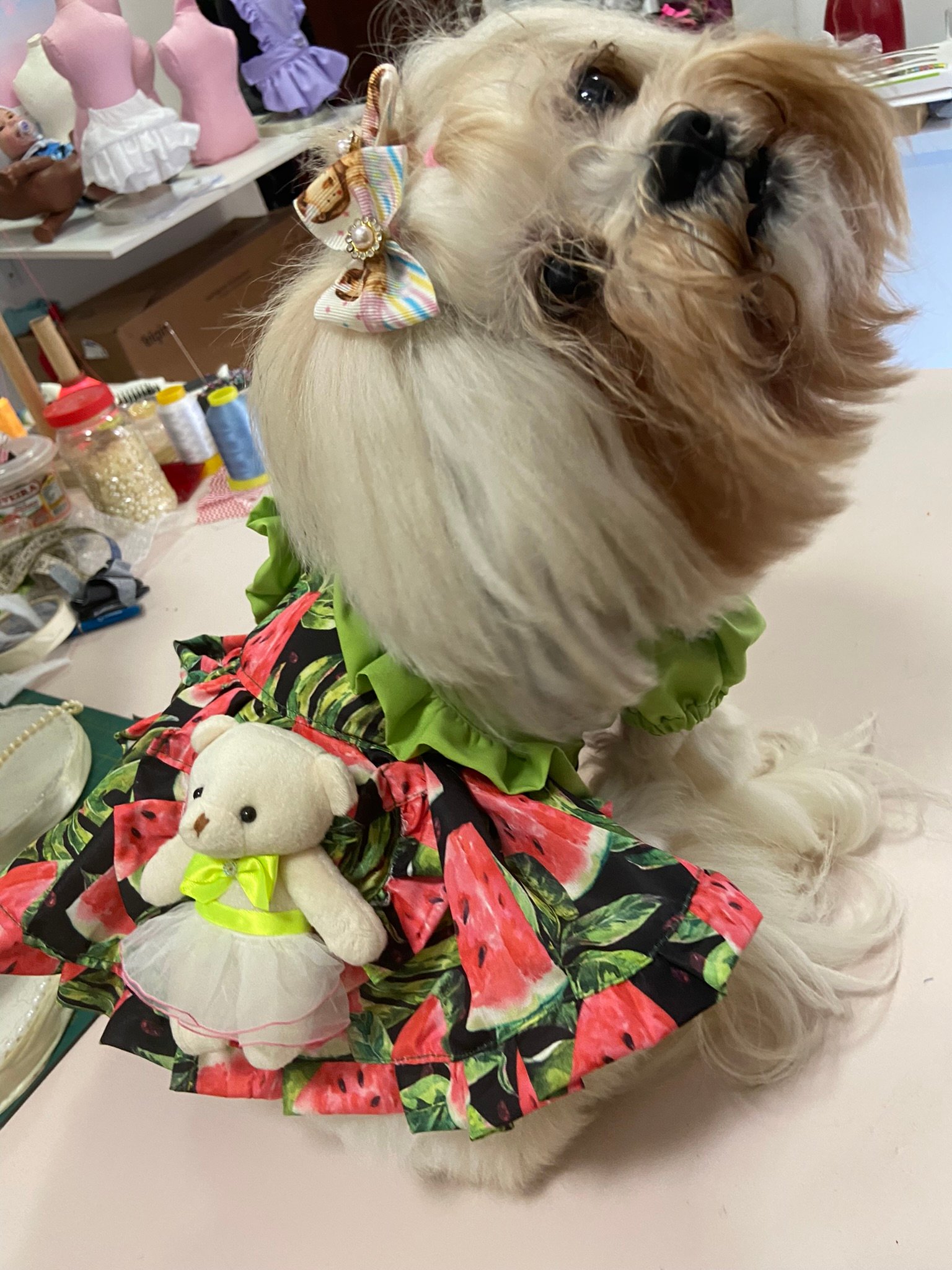 Vestido Encanto Delicado - Modelagem Pet PDF product image (6)