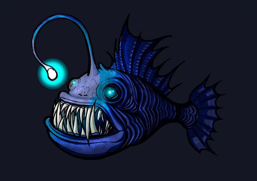 Angler A6 Fine Art Print product image (3)
