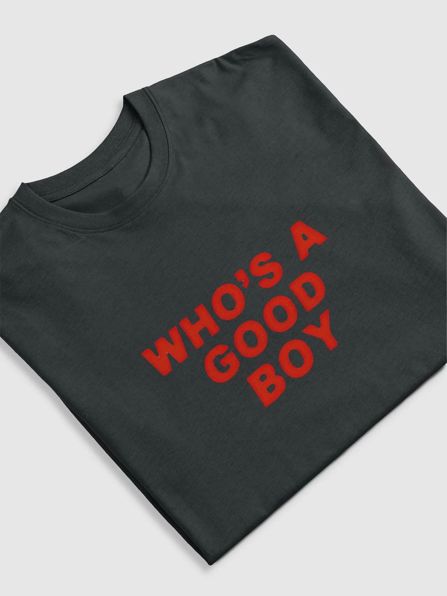 Good Boy Commemorative Tee product image (3)